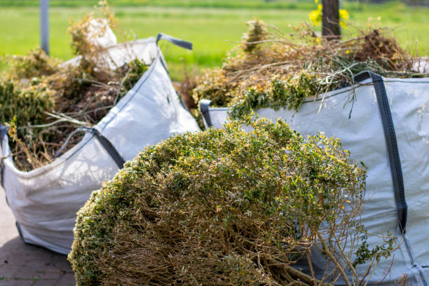 Best Professional Junk Removal  in North Eastham, MA